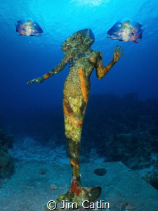 'Mermaid Mess' by Jim Catlin 